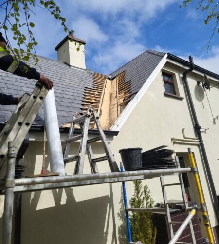 Roof Repair Services Cork Ridge Tile Repointing Cork